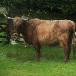 Hush Farms in East Devon reviews and testimonials.