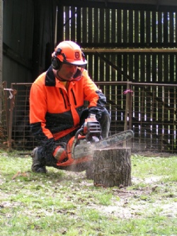 Chainsaw courses in Devon, Wales, Dorset, Somerset and UK with Hush Farms